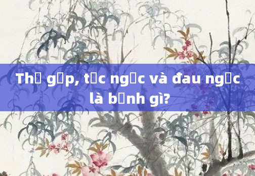 Thở gấp, tức ngực và đau ngực là bệnh gì?