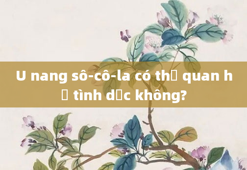 U nang sô-cô-la có thể quan hệ tình dục không?