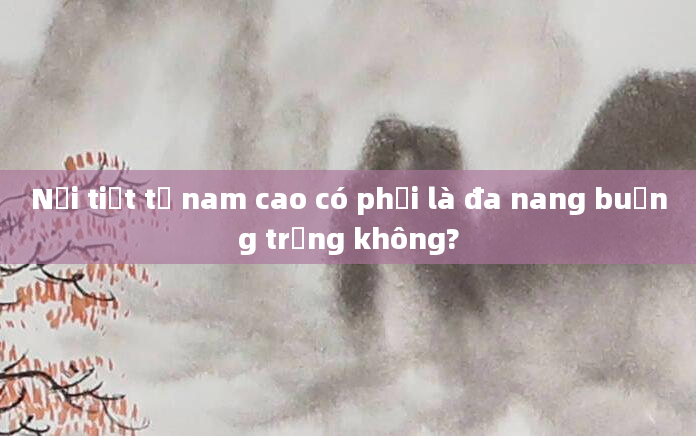 Nội tiết tố nam cao có phải là đa nang buồng trứng không?