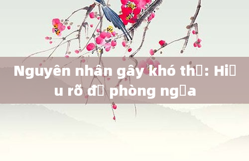 Nguyên nhân gây khó thở: Hiểu rõ để phòng ngừa