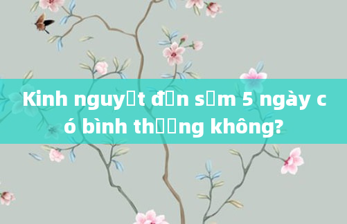 Kinh nguyệt đến sớm 5 ngày có bình thường không?