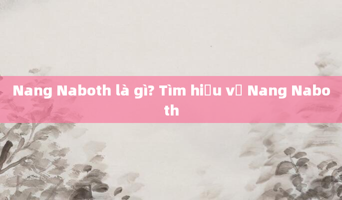 Nang Naboth là gì? Tìm hiểu về Nang Naboth