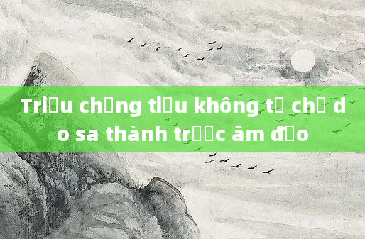 Triệu chứng tiểu không tự chủ do sa thành trước âm đạo