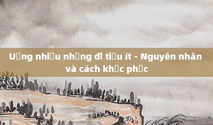 Uống nhiều nhưng đi tiểu ít - Nguyên nhân và cách khắc phục