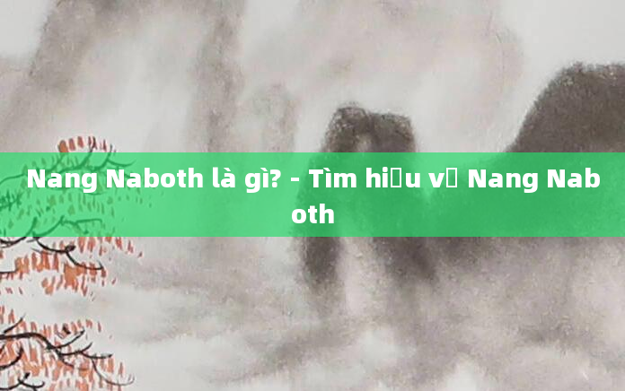 Nang Naboth là gì? - Tìm hiểu về Nang Naboth