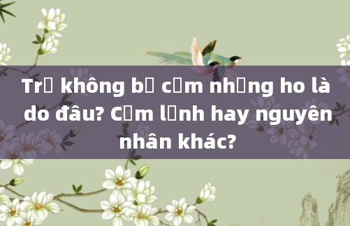 Trẻ không bị cảm nhưng ho là do đâu? Cảm lạnh hay nguyên nhân khác?