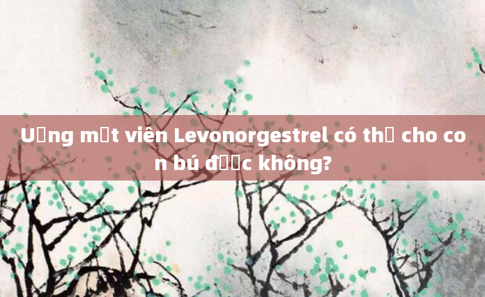 Uống một viên Levonorgestrel có thể cho con bú được không?