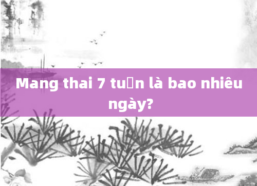 Mang thai 7 tuần là bao nhiêu ngày?