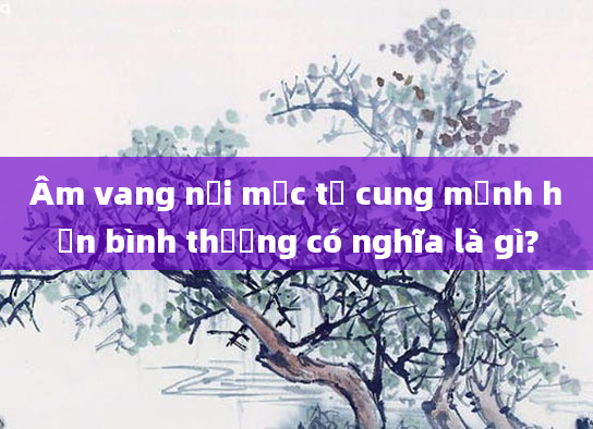 Âm vang nội mạc tử cung mạnh hơn bình thường có nghĩa là gì?