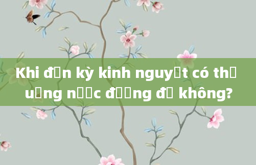 Khi đến kỳ kinh nguyệt có thể uống nước đường đỏ không?