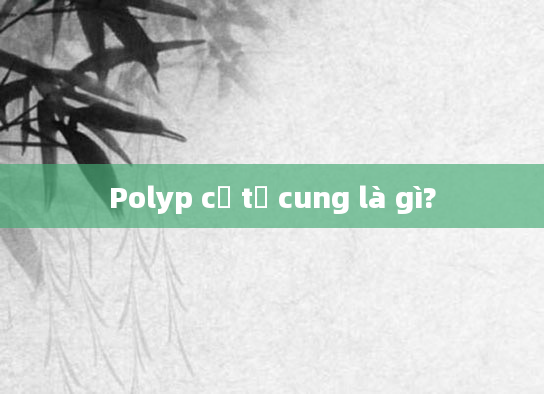 Polyp cổ tử cung là gì?