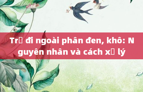 Trẻ đi ngoài phân đen, khô: Nguyên nhân và cách xử lý