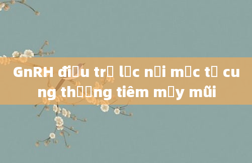 GnRH điều trị lạc nội mạc tử cung thường tiêm mấy mũi