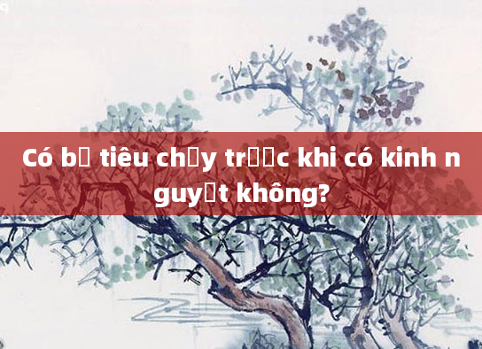 Có bị tiêu chảy trước khi có kinh nguyệt không?