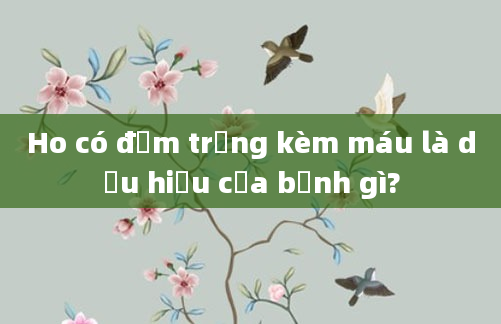 Ho có đờm trắng kèm máu là dấu hiệu của bệnh gì?