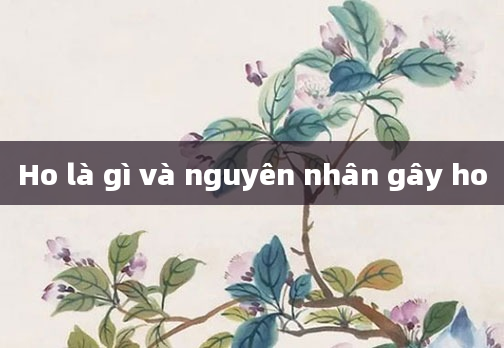 Ho là gì và nguyên nhân gây ho