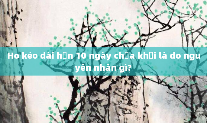 Ho kéo dài hơn 10 ngày chưa khỏi là do nguyên nhân gì?