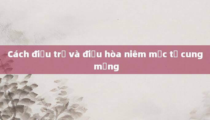 Cách điều trị và điều hòa niêm mạc tử cung mỏng