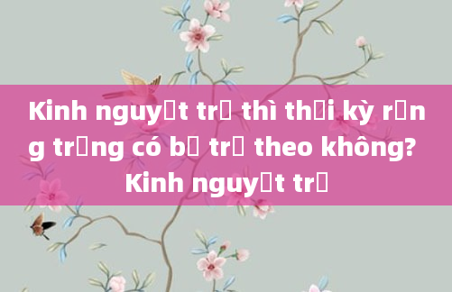Kinh nguyệt trễ thì thời kỳ rụng trứng có bị trễ theo không? Kinh nguyệt trễ