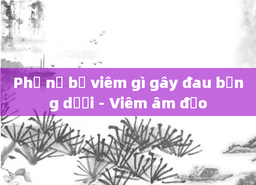 Phụ nữ bị viêm gì gây đau bụng dưới - Viêm âm đạo