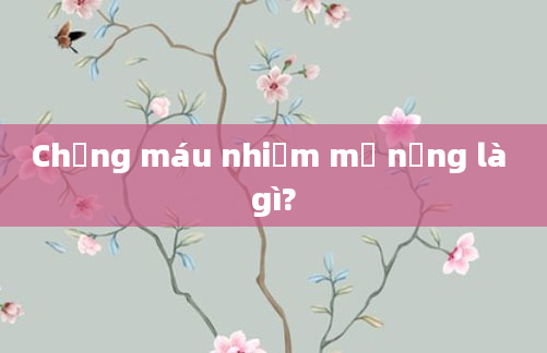 Chứng máu nhiễm mỡ nặng là gì?