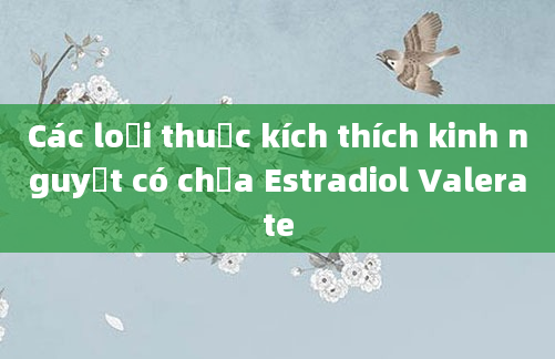 Các loại thuốc kích thích kinh nguyệt có chứa Estradiol Valerate
