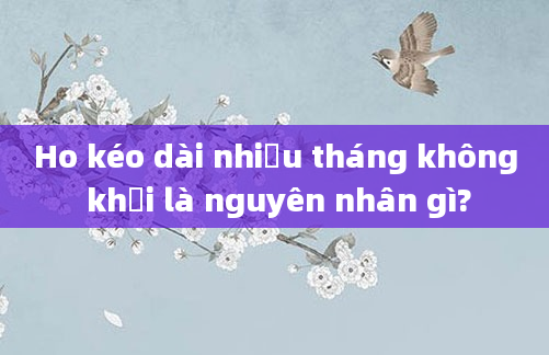 Ho kéo dài nhiều tháng không khỏi là nguyên nhân gì?