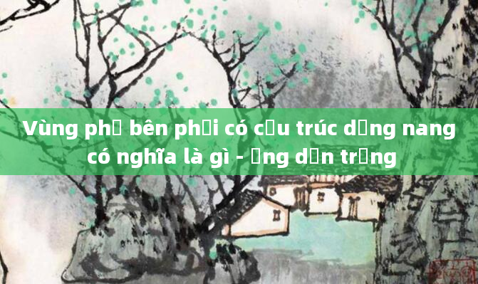Vùng phụ bên phải có cấu trúc dạng nang có nghĩa là gì - Ống dẫn trứng