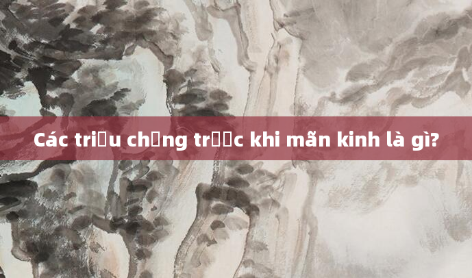Các triệu chứng trước khi mãn kinh là gì?