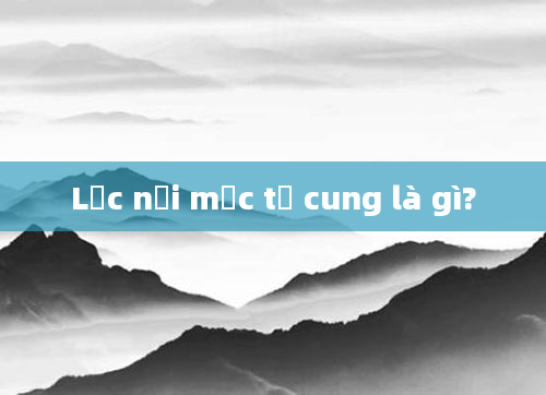 Lạc nội mạc tử cung là gì?