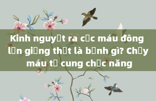 Kinh nguyệt ra cục máu đông lớn giống thịt là bệnh gì? Chảy máu tử cung chức năng