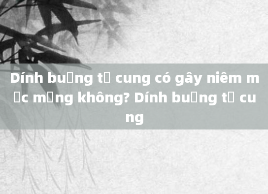 Dính buồng tử cung có gây niêm mạc mỏng không? Dính buồng tử cung