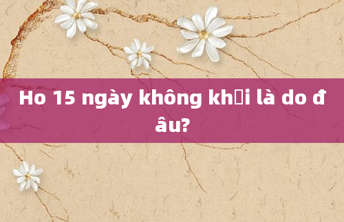 Ho 15 ngày không khỏi là do đâu?