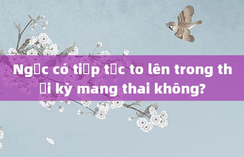 Ngực có tiếp tục to lên trong thời kỳ mang thai không?
