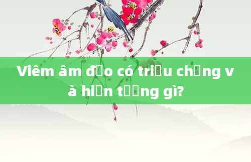 Viêm âm đạo có triệu chứng và hiện tượng gì?