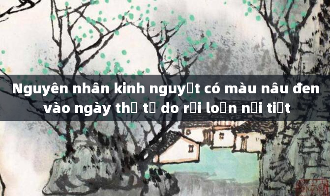 Nguyên nhân kinh nguyệt có màu nâu đen vào ngày thứ tư do rối loạn nội tiết