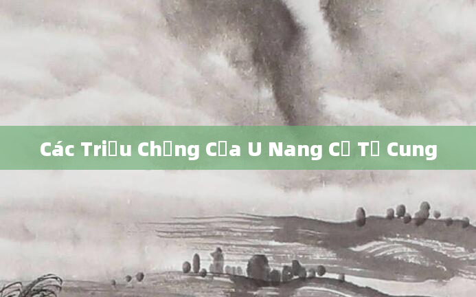 Các Triệu Chứng Của U Nang Cổ Tử Cung